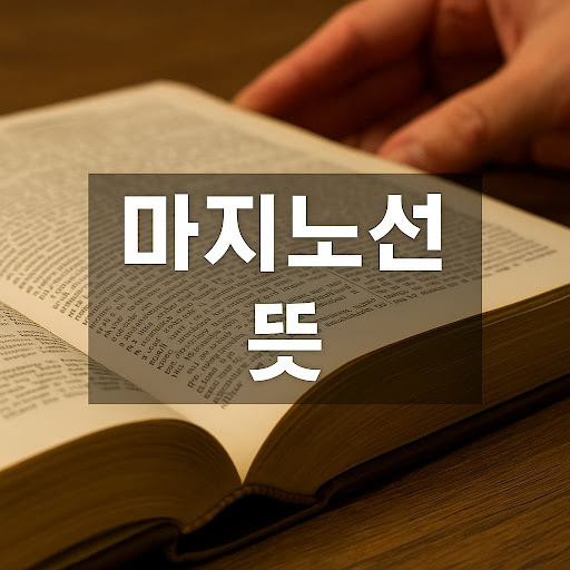 마지노선 뜻 – 최후의 한계선