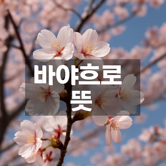 바야흐로 뜻과 활용