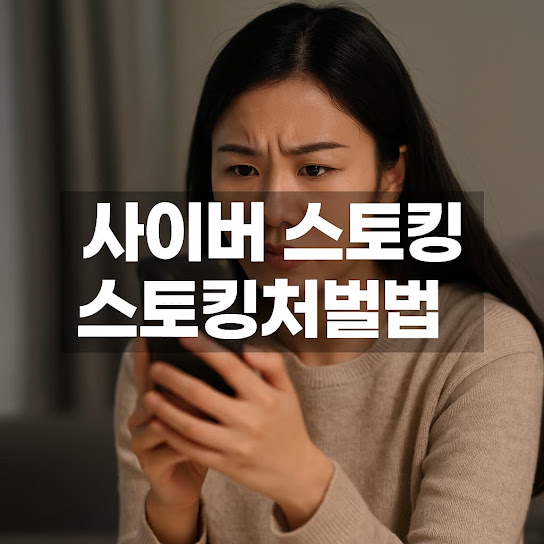 사이버 스토킹 스토킹처벌법