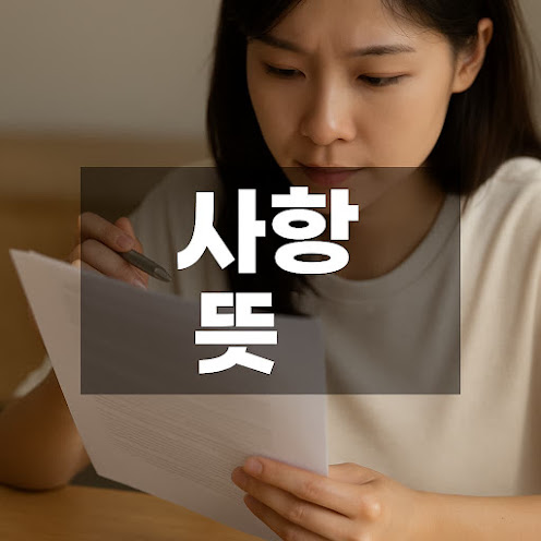 사항 뜻