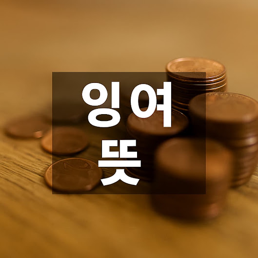 잉여 뜻과 활용