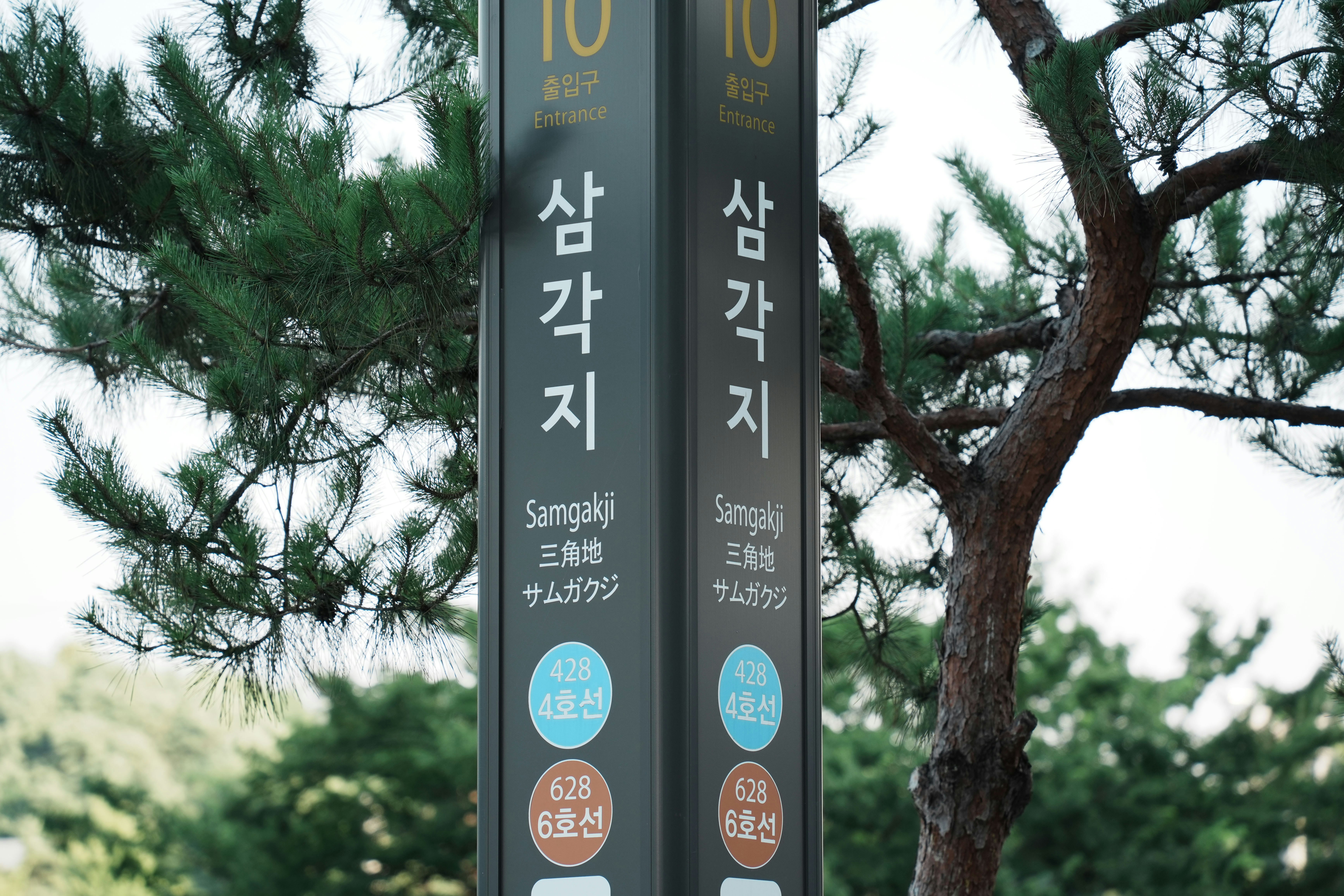 청년도약계좌 종료와 청년미래적금 시작을 보여주는 시간 흐름 그래픽