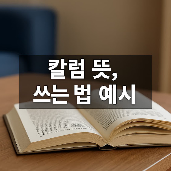 칼럼(Column)의 뜻
