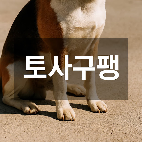 토사구팽의 한자 풀이