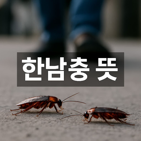 한남충 뜻