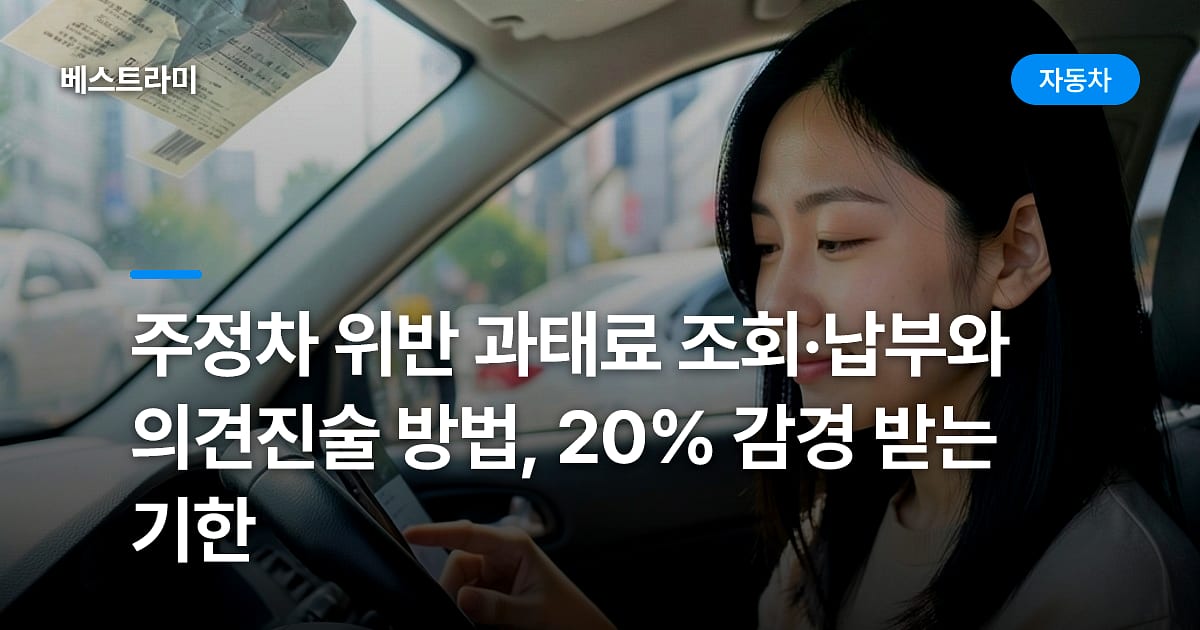 주정차 위반 과태료 조회·납부와 의견진술 방법, 20% 감경 받는 기한