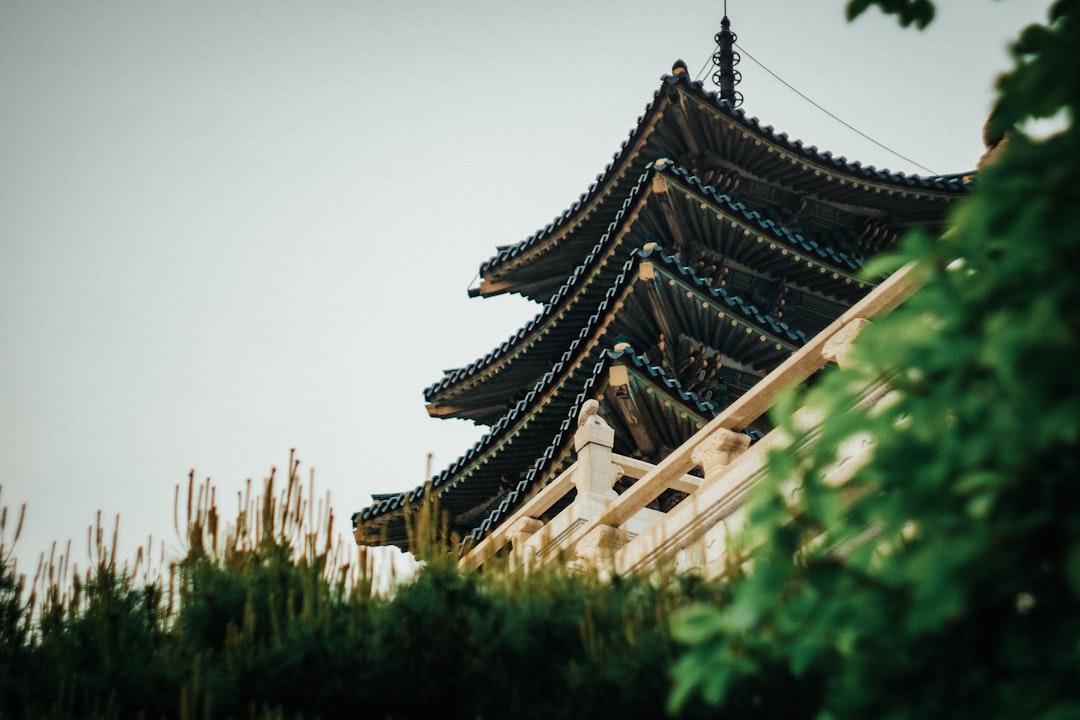 개인회생 신청 자격, 절차, 면책 분석