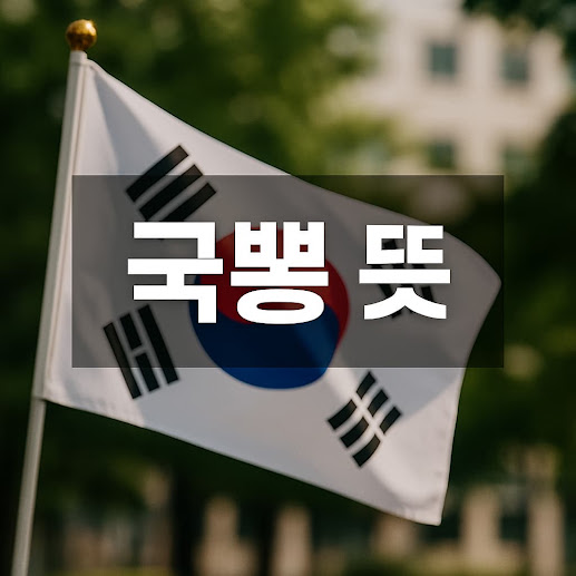 국뽕 뜻과 활용