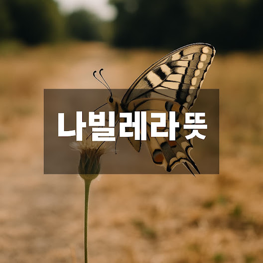 나빌레라 뜻 (나빌레라의 의미와 사용법)