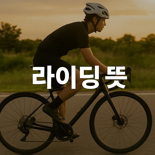 라이딩 뜻