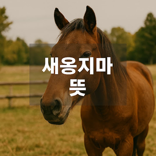 새옹지마 뜻