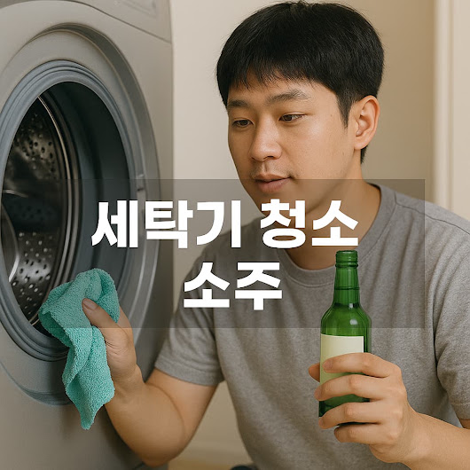 세탁기 청소 소주