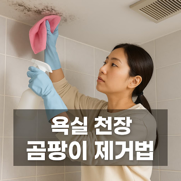 욕실 천장 곰팡이 제거법