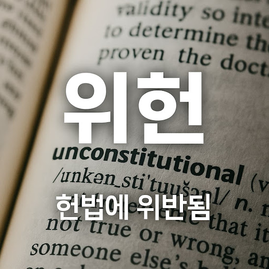 위헌 뜻, 정확한 의미와 사용 사례