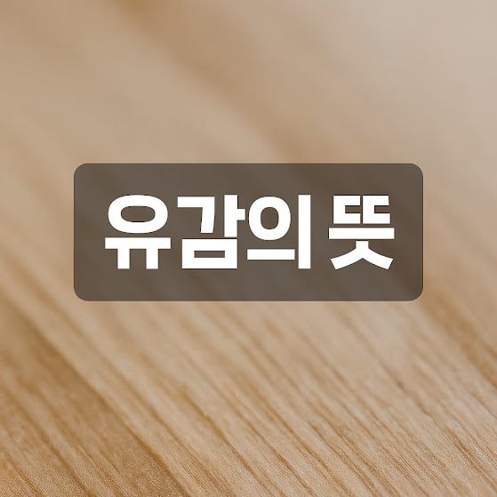 유감의 뜻, 정확한 의미와 올바른 사용법