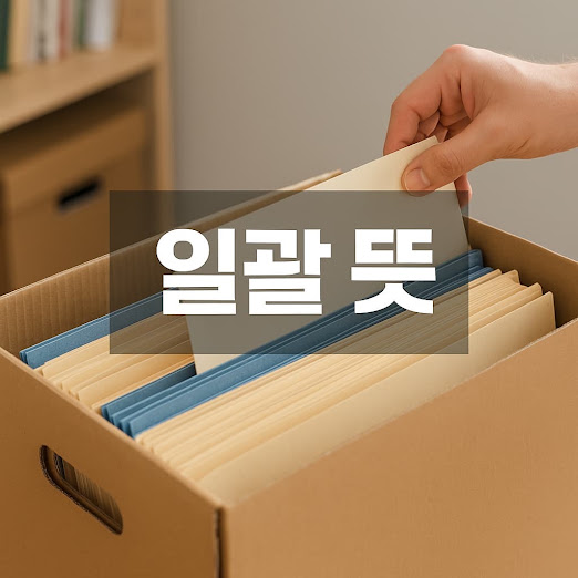 일괄 뜻 정리
