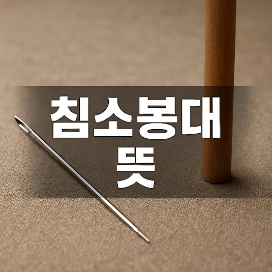 침소봉대 뜻과 활용