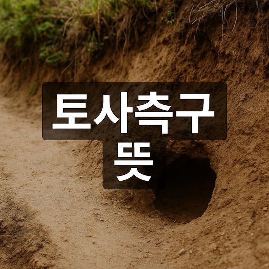 토사측구 뜻과 정확한 이해